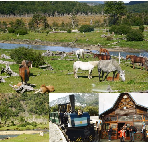ティエラ・デル・フェゴ国立公園